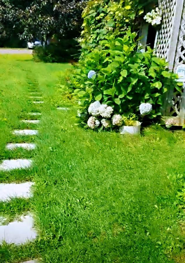 Hotel Lily'S Garden Charlottetown Esterno foto